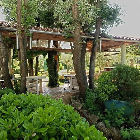 Fuer 2 Personen Ca 38 Qm In Pjescana Uvala, Istrien Istrische Riviera Apartamento *