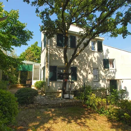 Apartamento Fuer 2 Personen Ca 38 Qm In Pjescana Uvala, Istrien Istrische Riviera